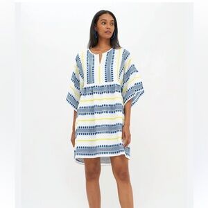 Embroidered Mini Dress